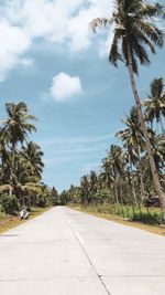 Road by palm trees against sky