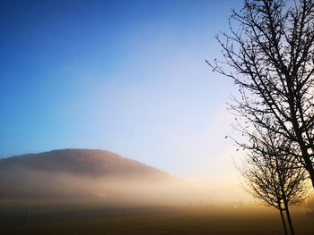 Silhouette bare tree on field against clear sky