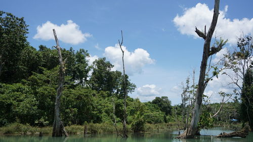 Scenic view of lake against sky