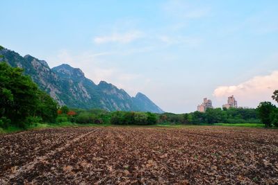 Scenic view of field against sky