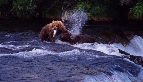 Water splashing in water