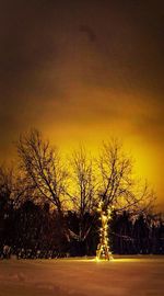 Bare trees on landscape at sunset