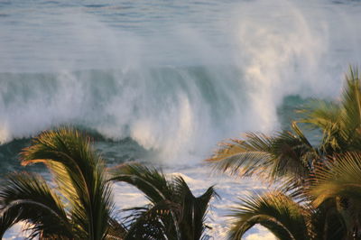 Scenic view waves crashing