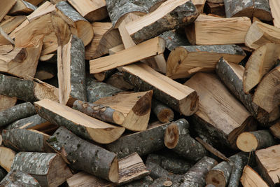 Full frame shot of logs in forest