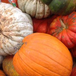 Full frame shot of pumpkins