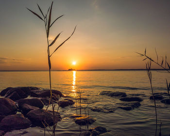 Scenic view of sea against sky during sunset