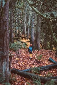 Rear view of woman in forest during autumn