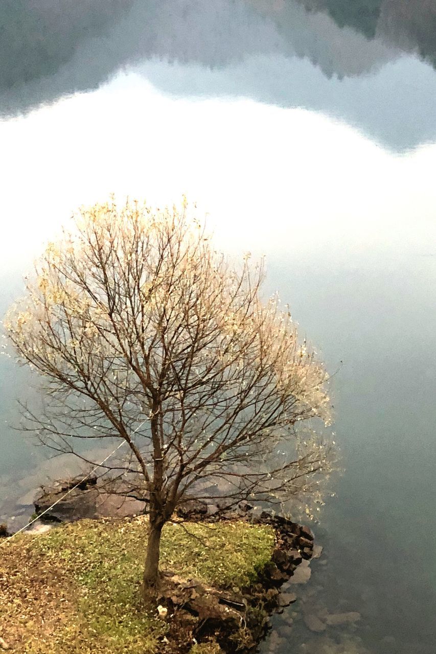 nature, beauty in nature, tranquility, bare tree, landscape, water, tranquil scene, day, lone, outdoors, lake, scenics, tree, no people, mountain, branch, sky