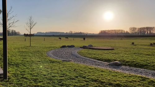 Scenic view of field against sky during sunset