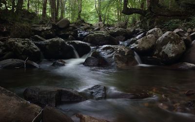 Stream flowing through rocks in forest