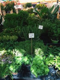 Plants and vegetables for sale at market stall