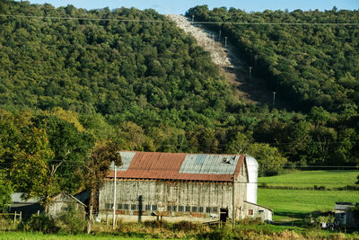 House amidst trees and plants on field