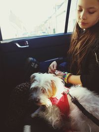 Portrait of cute girl with dog in car