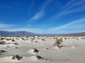 Scenic view of desert against blue sky