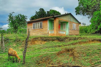 Houses on grassy field