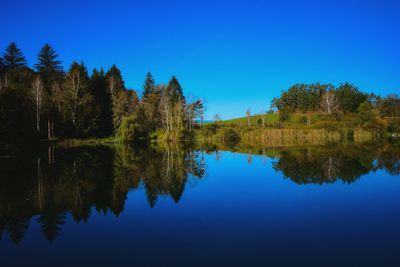 Reflection of trees in lake against blue sky