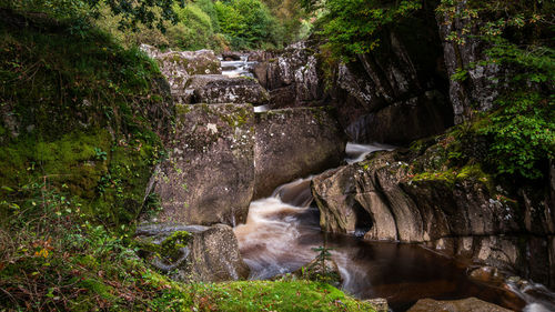 High angle view of waterfall in forest