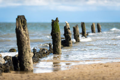 Wooden posts on beach against sky