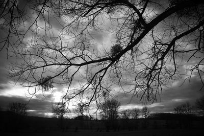 Silhouette bare trees on field against sky
