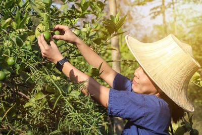 Midsection of woman holding plants against trees