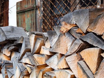 Close-up of wooden logs in forest