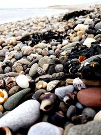 Close-up of stones on beach