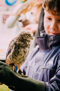 Close-up of boy holding owl