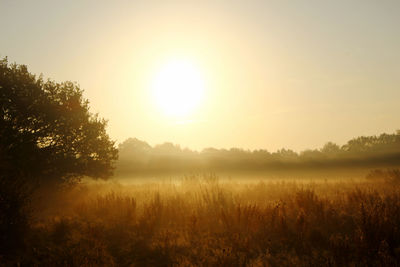 Scenic view of field against sky during sunset