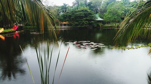 Boats moored in lake