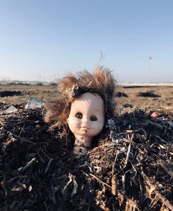 Portrait of stuffed toy on field against sky