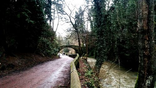 Narrow walkway along trees