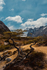 Scenic view of landscape against sky