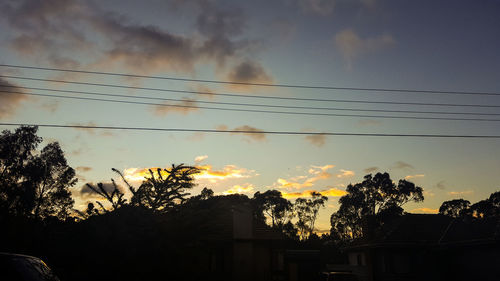 Low angle view of tree against cloudy sky