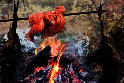 Close-up of bonfire