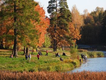 Group of people on the ground during autumn