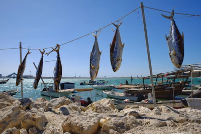 Clothes drying on beach against clear sky