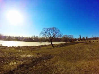 Scenic view of lake against clear sky