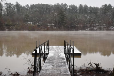 Pier over lake in forest