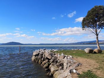 Scenic view of sea against sky