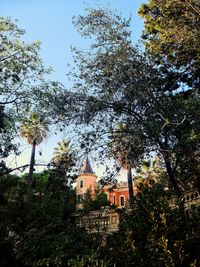 Low angle view of trees and house against sky