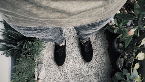 Low section of man standing on ground