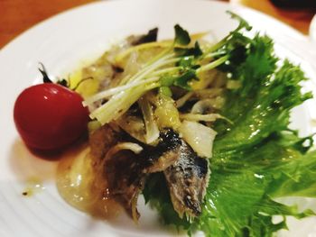 Close-up of salad in plate