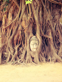 Statue of tree in temple