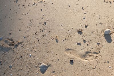 Close-up of sand