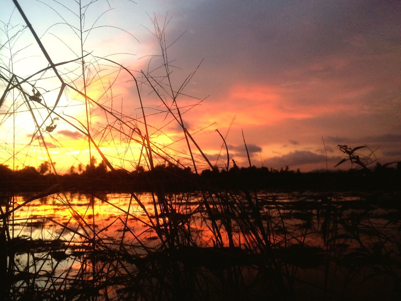 sunset, nature, beauty in nature, tranquil scene, reflection, silhouette, orange color, tranquility, scenics, sky, lake, water, outdoors, idyllic, majestic, no people, sun, plant, travel destinations, tree, day