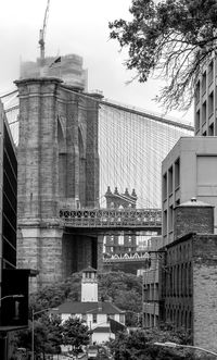 Buildings in city
