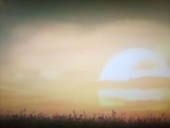 Scenic view of field against sky during sunset