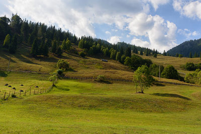 Scenic view of grassy field against cloudy sky