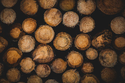 Arrangement of tree trunks in the summer evening