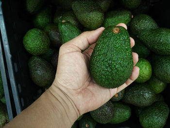 Cropped image of hand holding avocado at market